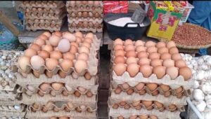 Jelang Puasa, Harga Telur Merangkak Naik Di Pasar Kepahiang
