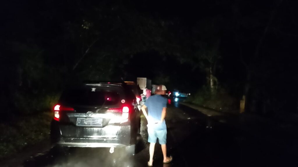 Jalur Lintas Ditutup Pohon Tumbang, Akses Kepahiang Bengkulu Terganggu