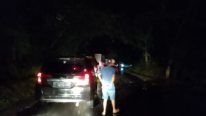 Jalur Lintas Ditutup Pohon Tumbang, Akses Kepahiang Bengkulu Terganggu