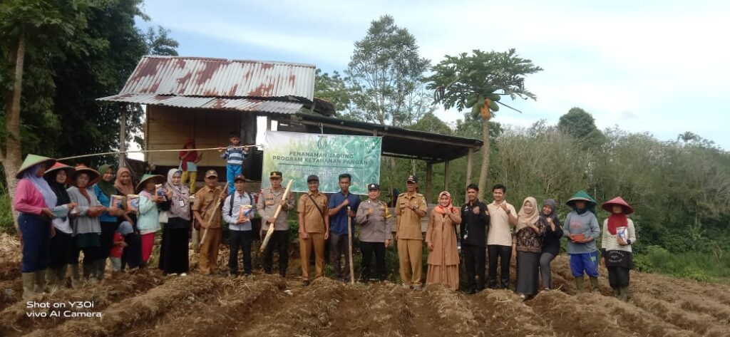 Ditargetkan Panen Dalam Empat Bulan, Tanam Satu HektarJagung