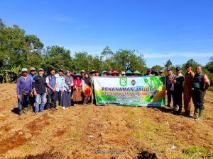 Libatkan Emak-Emak Kader Desa, Barat Wetan Tanam Jagung