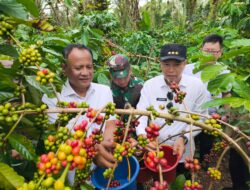 Upaya Penguatan Sektor Pertanian Dan Ketahanan Pangan, Staf Presiden RI Berkunjung Ke Kepahiang