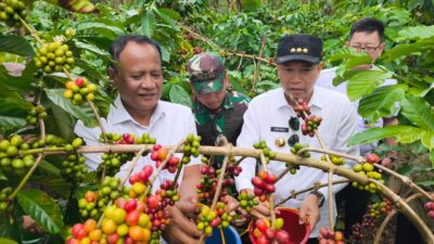 Upaya Penguatan Sektor Pertanian Dan Ketahanan Pangan, Staf Presiden RI Berkunjung Ke Kepahiang