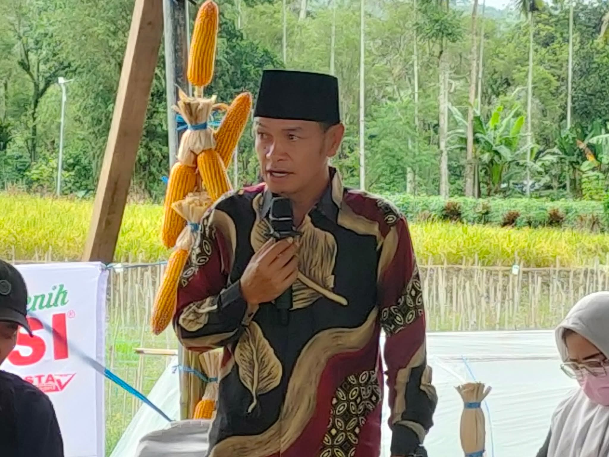 Program Ketahanan Pangan Desa Suro Ilir Hasilkan 15 Ton Jagung