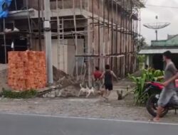 Warga Desa Pulo Geto Kepahiang Heboh dengan Kemunculan Babi Liar