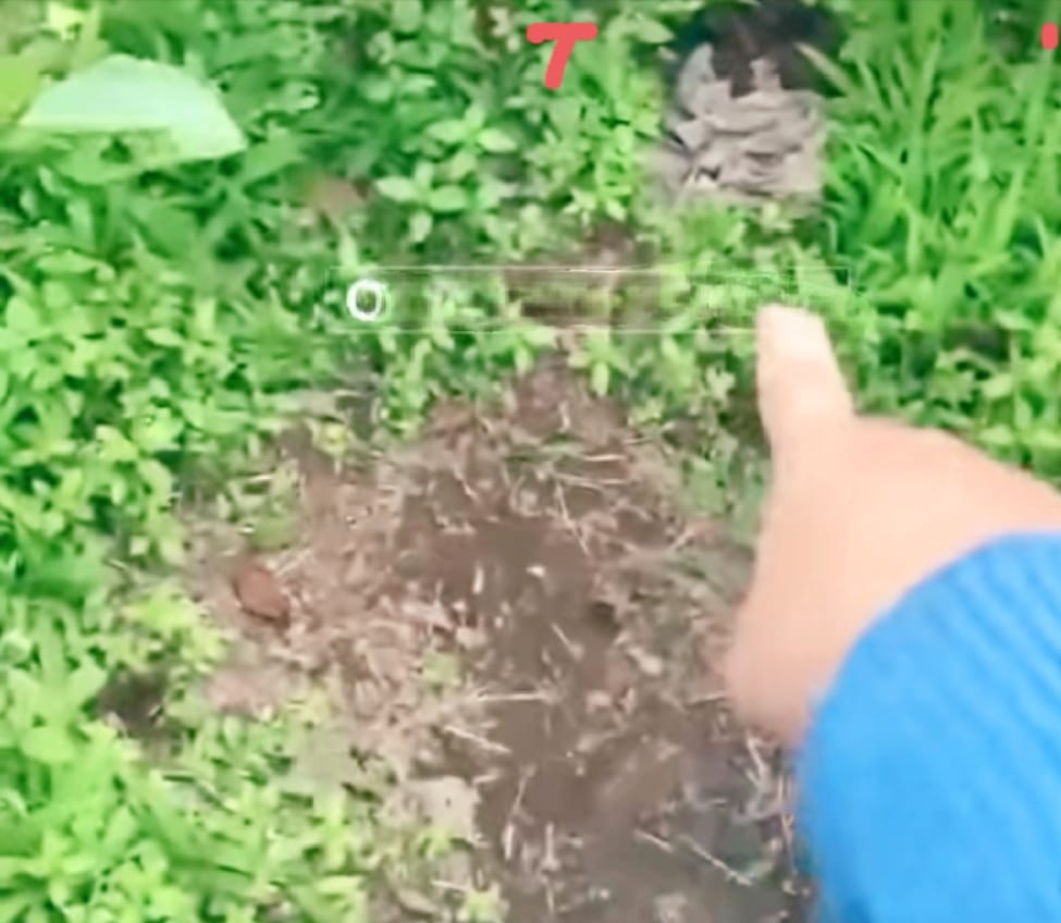 Heboh, Pengunjung Temukan Tumpukan Pakaian Dalam di Kebun Teh Kabawetan!