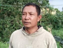 Pasca Pemberitaan Petani Panen Prematur Dan Tidak Didampingi Penyuluh, PPL Datangi Petani Jahe Anjurkan Klarifikasi