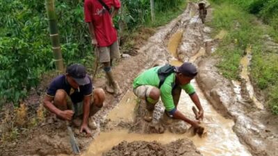 Kondisi Jalan Cinto Mandi-Langgar Jaya-Damar Kencana Memburuk, Petani Keluhkan Biaya Angkut Kopi Melonjak