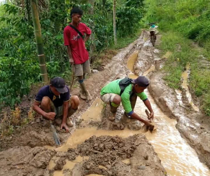Kondisi Jalan Cinto Mandi-Langgar Jaya-Damar Kencana Memburuk, Petani Keluhkan Biaya Angkut Kopi Melonjak Kondisi Jalan Cinto Mandi-Langgar Jaya-Damar Kencana Memburuk, Petani Keluhkan Biaya Angkut Kopi Melonjak