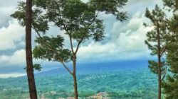 Jalan Ring Roud Kepahiang Terungkap Keindahan Alam Tersembunyi, Dari Telaga Biru Hingga Hutan Pinus