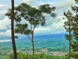 Jalan Ring Roud Kepahiang Terungkap Keindahan Alam Tersembunyi, Dari Telaga Biru Hingga Hutan Pinus