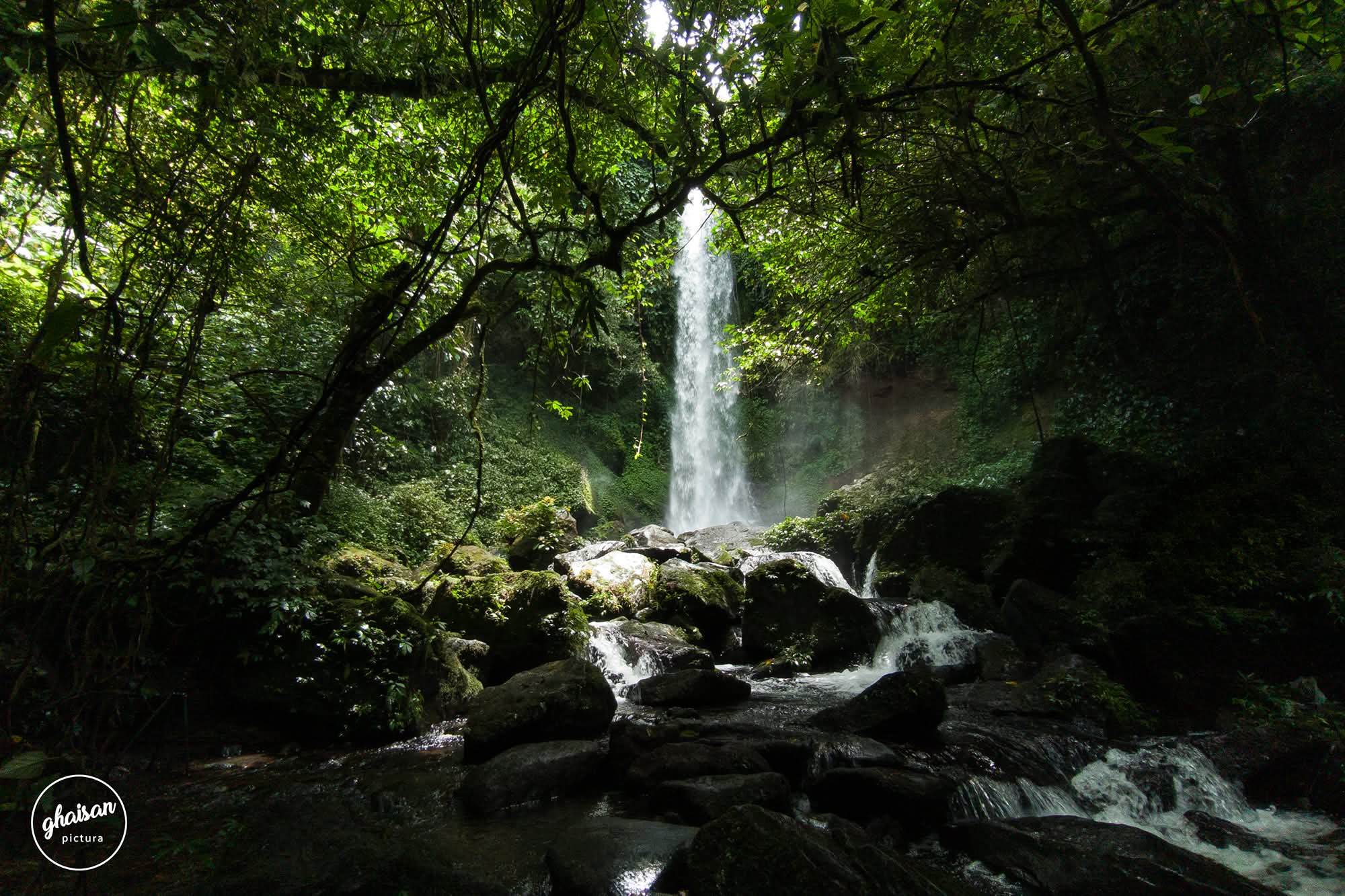 Air Terjun Tersembunyi Di Dataran Tinggi Kepahiang Bikin Betah Dan Memanjakan Mata Memandang