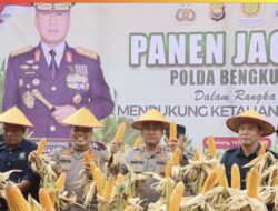 Panen Raya 5 Hektar Jagung, Polda Bengkulu Serahkan Bantuan Sosial