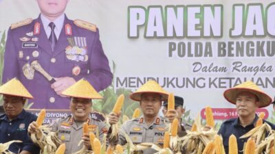 Panen Raya 5 Hektar Jagung, Polda Bengkulu Serahkan Bantuan Sosial