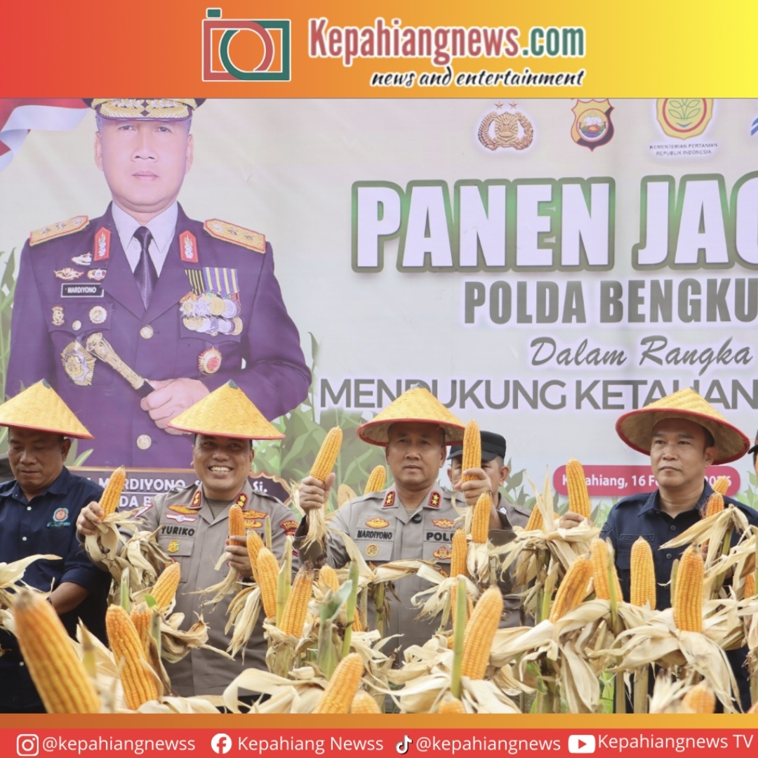 Panen Raya 5 Hektar Jagung, Polda Bengkulu Serahkan Bantuan Sosial