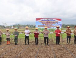 Polres Kepahiang Ikuti Aksi Nasional Penanaman Jagung, Dukung Ketahanan Pangan
