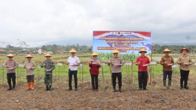 Polres Kepahiang Ikuti Aksi Nasional Penanaman Jagung, Dukung Ketahanan Pangan Polres Kepahiang Ikuti Aksi Nasional Penanaman Jagung, Dukung Ketahanan Pangan