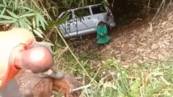 Momen Arus Mudik, Suzuki APV Terperosok Ke Jurang 20 Meter Akibat Pengemudi Mengantuk, Tak Ada Korban Jiwa