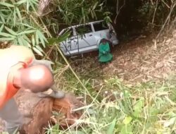 Momen Arus Mudik, Suzuki APV Terperosok Ke Jurang 20 Meter Akibat Pengemudi Mengantuk, Tak Ada Korban Jiwa