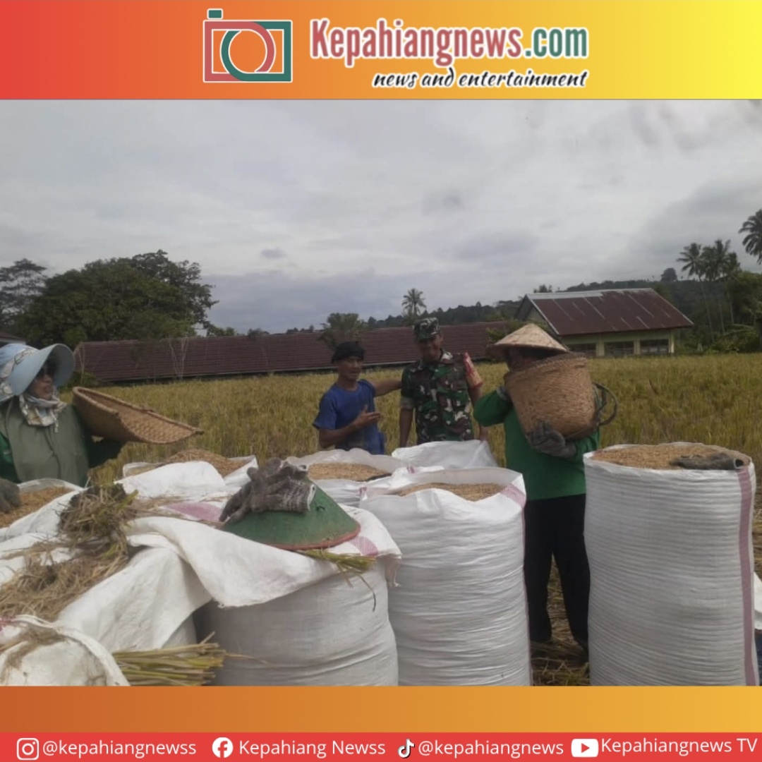 Wujudkan Ketahanan Pangan, Babinsa Kodim 0409/RL Dampingi Petani Beri Info Harga Gabah Terbaru