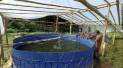Kolam Bioflok Kodim 0409/Rejang Lebong, Solusi Pangan Murah, Dorong Ekonomi Warga Kampung Baru Kolam Bioflok Kodim 0409/Rejang Lebong, Solusi Pangan Murah, Dorong Ekonomi Warga Kampung Baru
