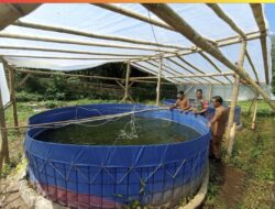 Kolam Bioflok Kodim 0409/Rejang Lebong, Solusi Pangan Murah, Dorong Ekonomi Warga Kampung Baru