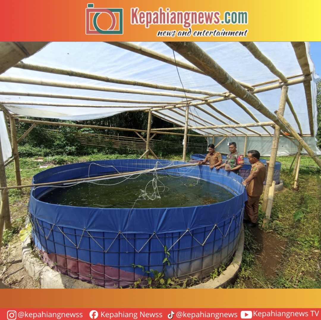 Kolam Bioflok Kodim 0409/Rejang Lebong, Solusi Pangan Murah, Dorong Ekonomi Warga Kampung Baru Kolam Bioflok Kodim 0409/Rejang Lebong, Solusi Pangan Murah, Dorong Ekonomi Warga Kampung Baru