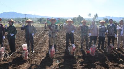 Polres Kepahiang dan Pemkab Kompak Tanam Jagung, Perkuat Ketahanan Pangan Nasional