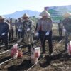 Dukung Swasembada Pangan Nasional, Kodim 0409/Rejang Lebong Ambil Peran Aktif dalam Penanaman Jagung di Kepahiang