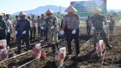 Dukung Swasembada Pangan Nasional, Kodim 0409/Rejang Lebong Ambil Peran Aktif dalam Penanaman Jagung di Kepahiang