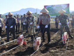 Dukung Swasembada Pangan Nasional, Kodim 0409/Rejang Lebong Ambil Peran Aktif dalam Penanaman Jagung di Kepahiang