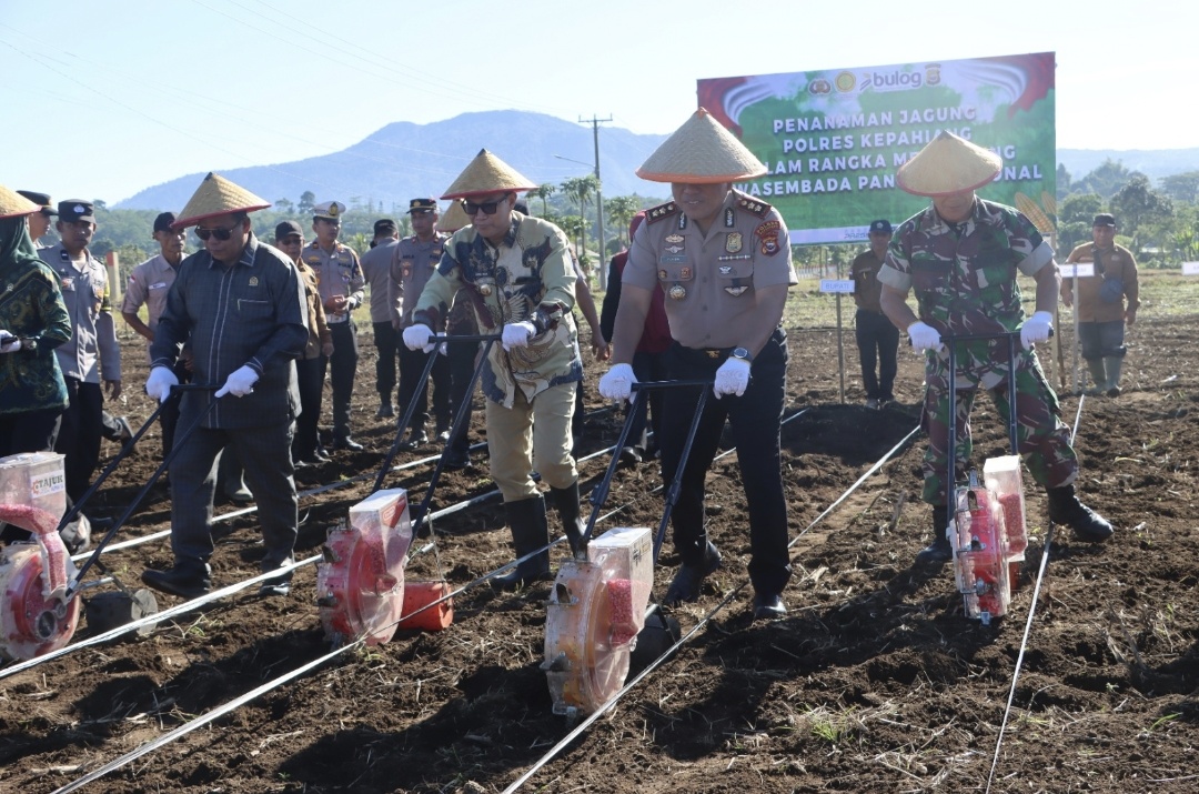 Dukung Swasembada Pangan Nasional, Kodim 0409/Rejang Lebong Ambil Peran Aktif dalam Penanaman Jagung di Kepahiang