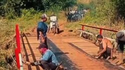 Musim Kopi Makin Semangat, Jembatan Garuda Permudah Aktivitas Warga Muara Kemumu