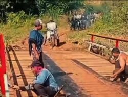 Musim Kopi Makin Semangat, Jembatan Garuda Permudah Aktivitas Warga Muara Kemumu
