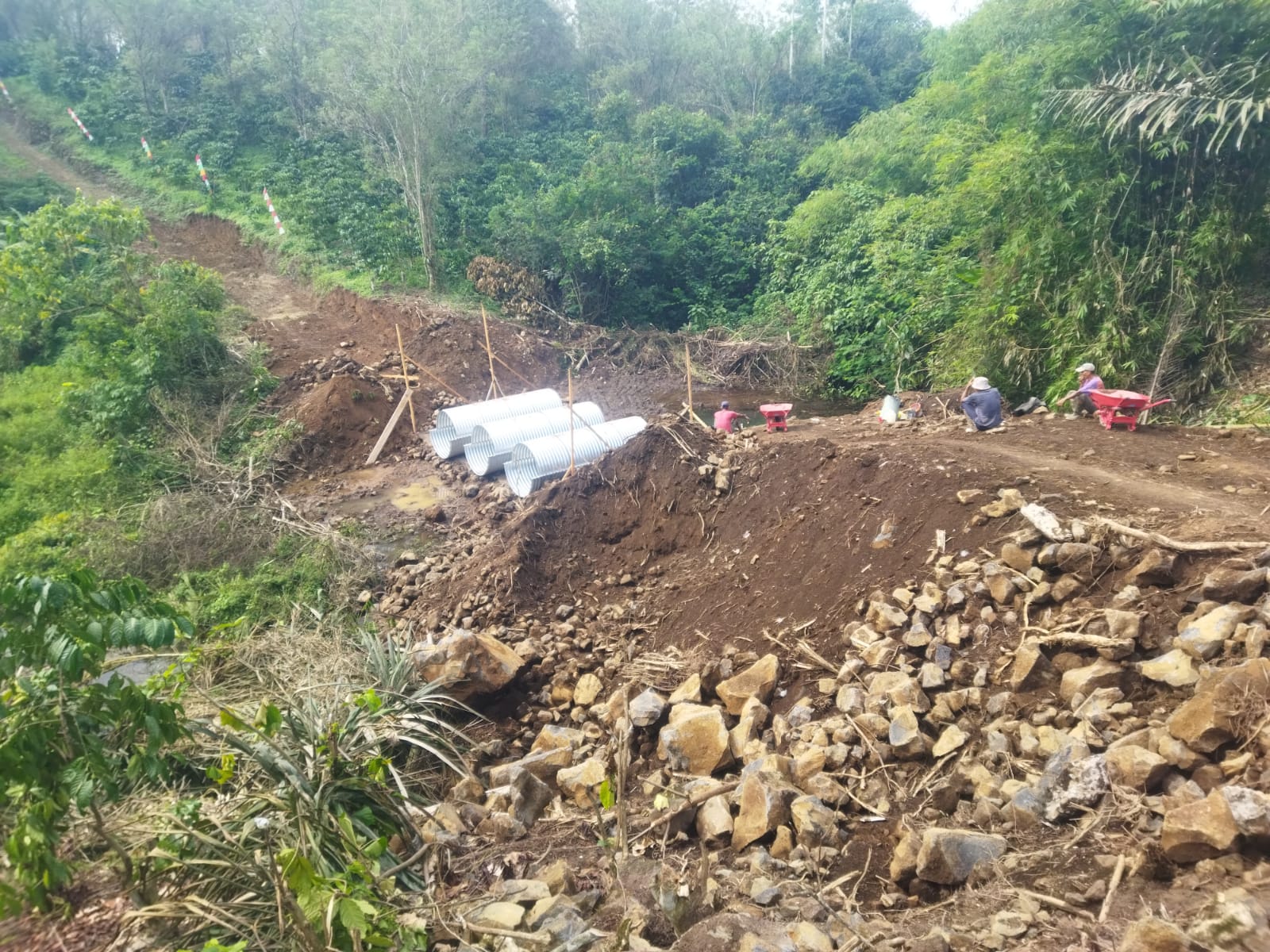 IMG 20260706 WA0012