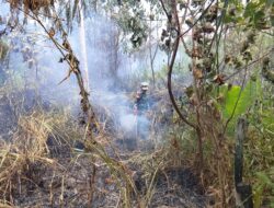 Api Mengamuk di Embong Ijuk, Babinsa dan Warga Bergerak Cepat Cegah Kebakaran Meluas