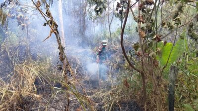 Api Mengamuk di Embong Ijuk, Babinsa dan Warga Bergerak Cepat Cegah Kebakaran Meluas
