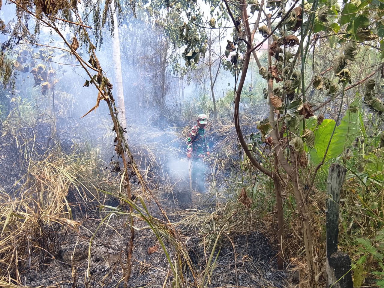 Api Mengamuk di Embong Ijuk, Babinsa dan Warga Bergerak Cepat Cegah Kebakaran Meluas