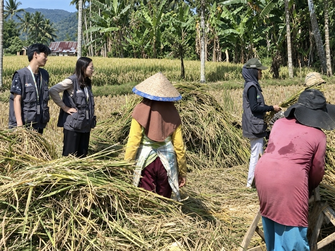 Tak Canggung Turun ke Kebun, 11 Mahasiswa KKN UPP Rejang Lebong Bikin Warga Air Hitam Senang
