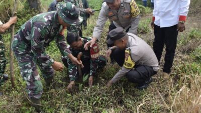 Tak Hanya Menjaga Negeri, TNI Ikut Menjaga Alam dengan Menanam 1.000 Pohon